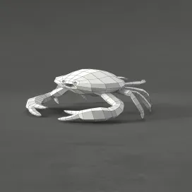 Crab